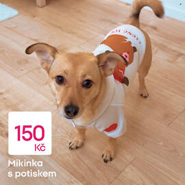 Pepco leták Strana 4