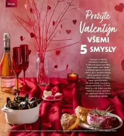 Albert leták Strana 12