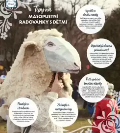 Albert leták Strana 28