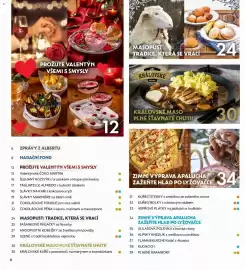 Albert leták Strana 4