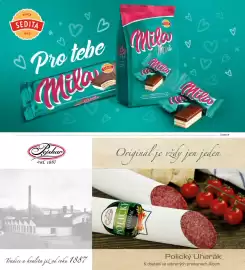 Albert leták Strana 65