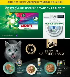 Albert leták Strana 71