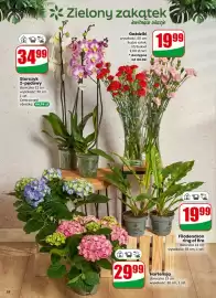 Dino gazetka tydzień 6 Strona 58