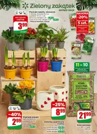 Dino gazetka tydzień 6 Strona 59