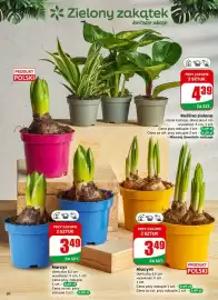 Dino gazetka tydzień 6 Strona 60