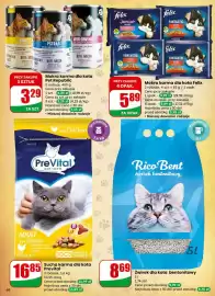 Dino gazetka tydzień 6 Strona 66