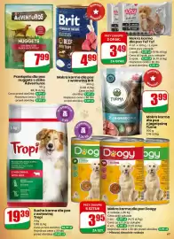 Dino gazetka tydzień 6 Strona 67