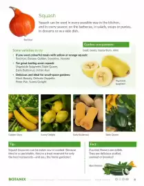 Botanix flyer week 6 Page 8