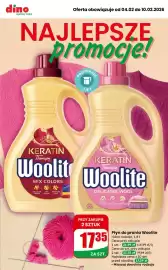 Dino gazetka tydzień 6 Strona 1