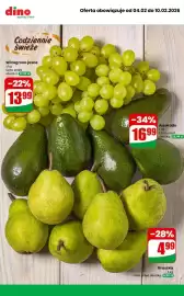 Dino gazetka tydzień 6 Strona 6