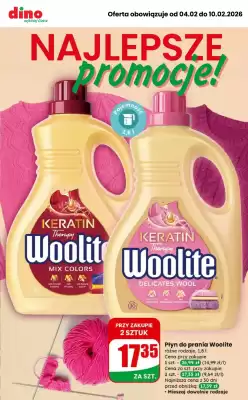 Dino gazetka (ważność do 10-02)