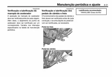 Panfleto Yamaha Página 101