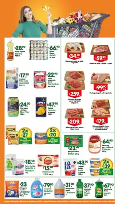 Folleto Arteli (válido hasta 5-02)