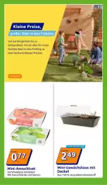 Action Flugblatt woche 6 Seite 16