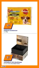 Action Flugblatt woche 6 Seite 4