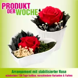 Blumen B&B Flugblatt woche 6 Seite 5