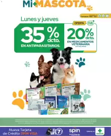 Catálogo Cruz Verde Página 14