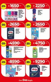 Folleto Supermercados DIA semana 6 Página 21