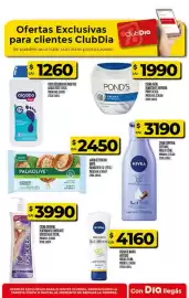 Folleto Supermercados DIA semana 6 Página 53