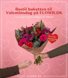 Bilka tilbudsavis uge 6 Side 7