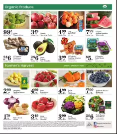 Pavilions weekly ad week 6 Page 11