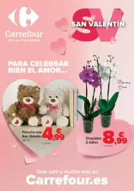 Folleto Carrefour Página 1