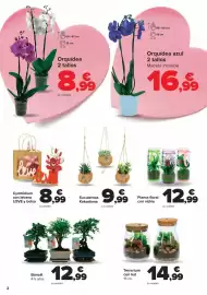 Folleto Carrefour Página 2