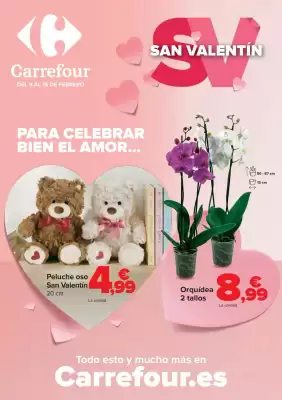 Folleto Carrefour (válido hasta el 15-02)
