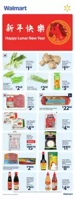 Walmart flyer (valid until 13-02)
