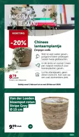 AVEVE folder Pagina 12