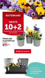 AVEVE folder Pagina 9