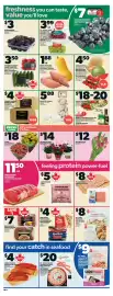 Zehrs Markets weekly ad week 6 Page 5