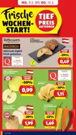 Hofer Flugblatt woche 6 Seite 16