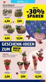 Hofer Flugblatt woche 6 Seite 33