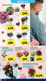 Hofer Flugblatt woche 6 Seite 34