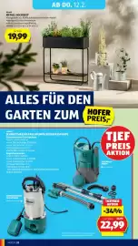 Hofer Flugblatt woche 6 Seite 36