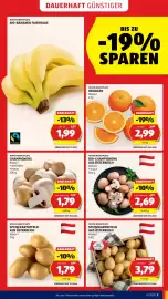 Hofer Flugblatt woche 6 Seite 5