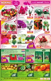Catalogue Norma semaine 7 page 4