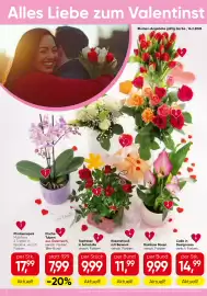 Spar Flugblatt woche 6 Seite 10