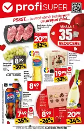 Catalog PROFI Pagină 1