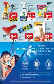 Catalog PROFI Pagină 13