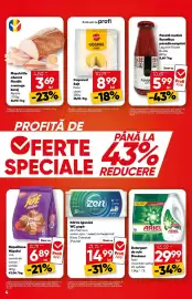 Catalog PROFI Pagină 4