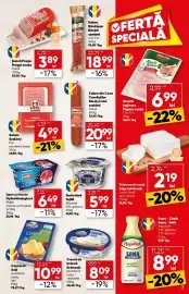 Catalog PROFI Pagină 7