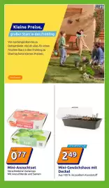 Action Prospekt woche 6 Seite 16