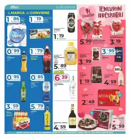 Volantino Alter Discount Pagina 10