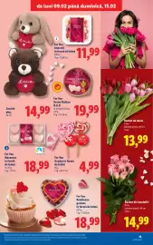 Catalog Lidl săptămâna 7 Pagină 15