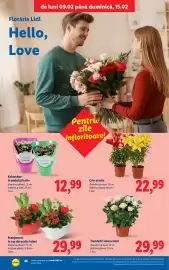 Catalog Lidl săptămâna 7 Pagină 46