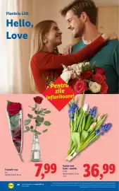 Catalog Lidl săptămâna 7 Pagină 48