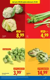 Catalog Lidl săptămâna 7 Pagină 5