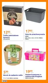 Action gazetka tydzień 6 Strona 29